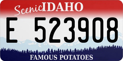 ID license plate E523908