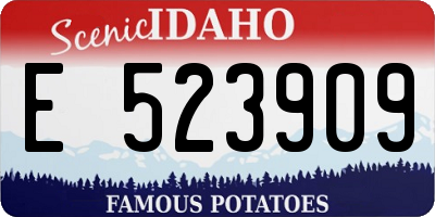 ID license plate E523909