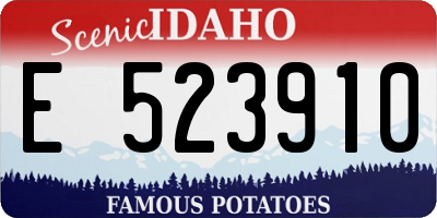 ID license plate E523910