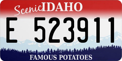 ID license plate E523911