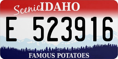 ID license plate E523916