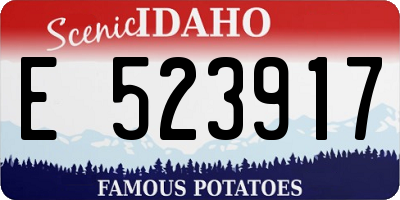 ID license plate E523917