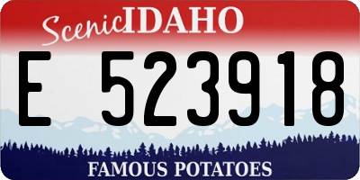 ID license plate E523918