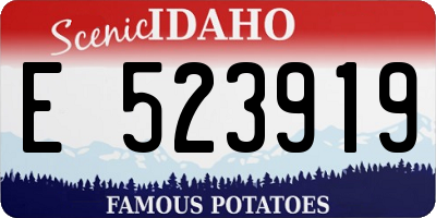 ID license plate E523919