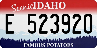 ID license plate E523920