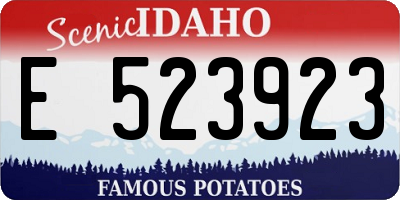 ID license plate E523923