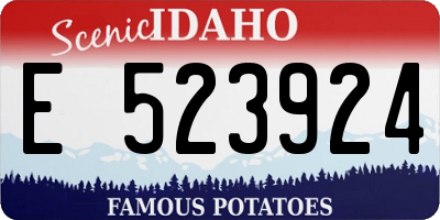 ID license plate E523924