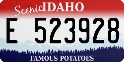 ID license plate E523928