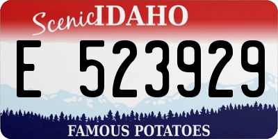 ID license plate E523929