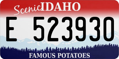 ID license plate E523930
