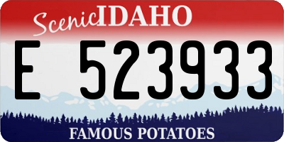 ID license plate E523933