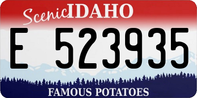 ID license plate E523935