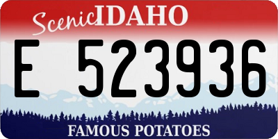 ID license plate E523936