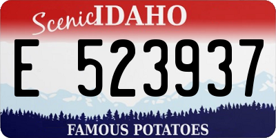 ID license plate E523937