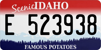 ID license plate E523938