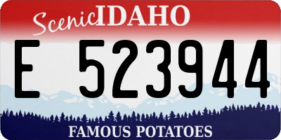ID license plate E523944