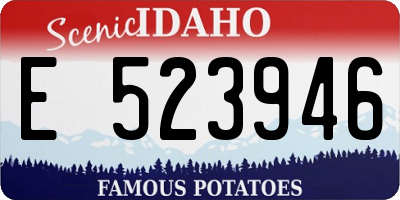 ID license plate E523946