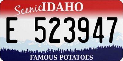 ID license plate E523947