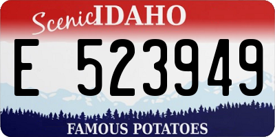 ID license plate E523949