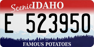 ID license plate E523950