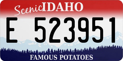 ID license plate E523951