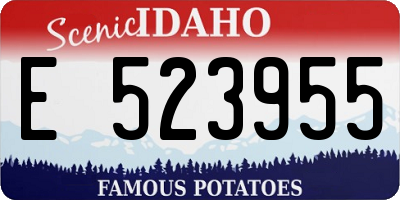 ID license plate E523955