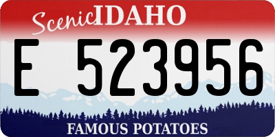 ID license plate E523956