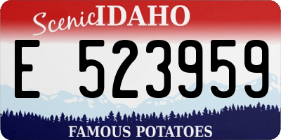ID license plate E523959