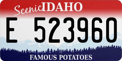 ID license plate E523960