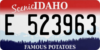 ID license plate E523963