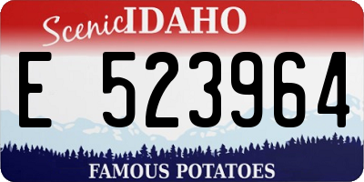 ID license plate E523964
