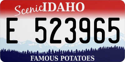 ID license plate E523965
