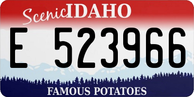 ID license plate E523966