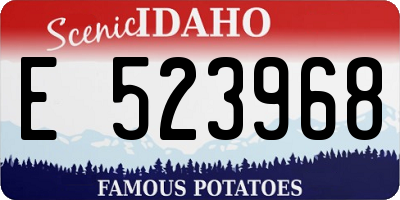 ID license plate E523968