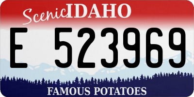 ID license plate E523969
