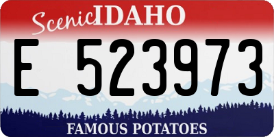 ID license plate E523973