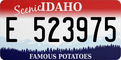 ID license plate E523975