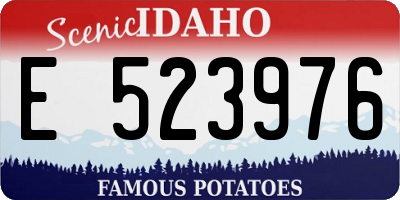 ID license plate E523976