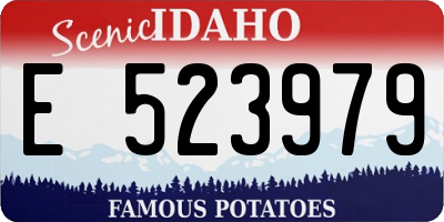 ID license plate E523979