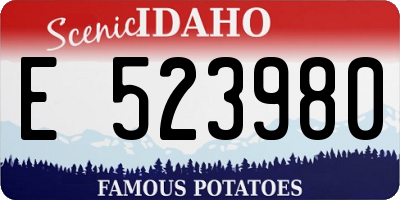 ID license plate E523980