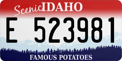 ID license plate E523981