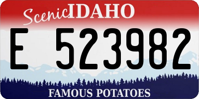 ID license plate E523982
