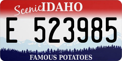 ID license plate E523985