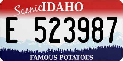 ID license plate E523987