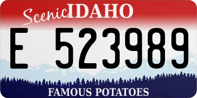 ID license plate E523989
