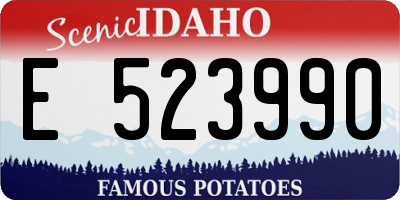 ID license plate E523990