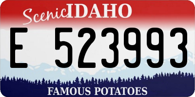 ID license plate E523993