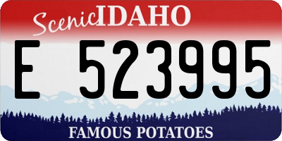 ID license plate E523995