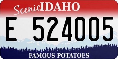 ID license plate E524005