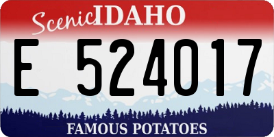 ID license plate E524017